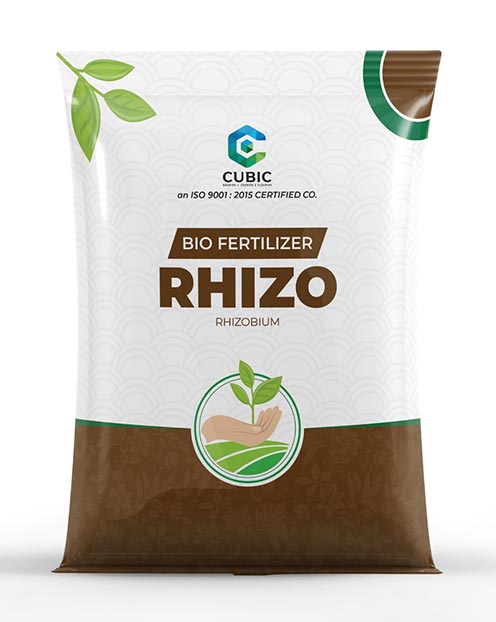 Cubic Rhizo