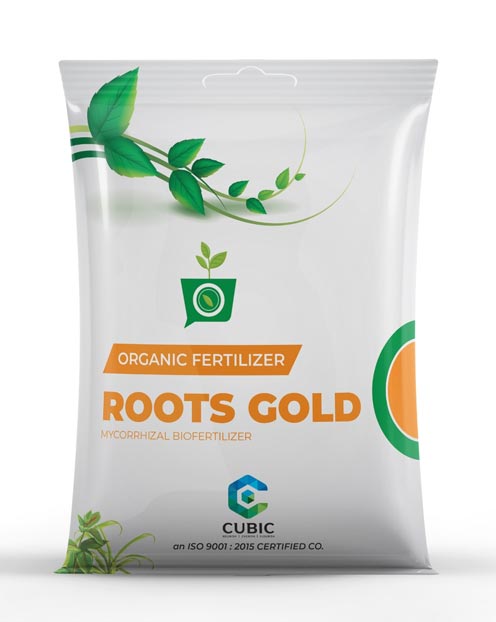 Cubic Roots Gold