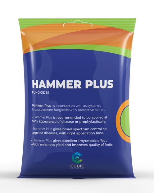 Hammer Plus