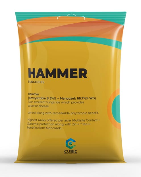 Hammer