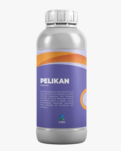 Pelikan