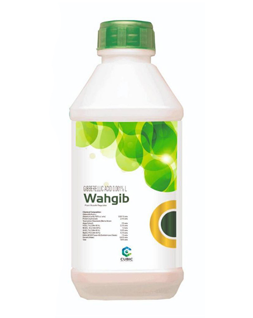 Wahgib